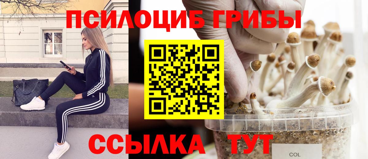 Галлюциногенные грибы Magic Shrooms  Вход с VPN  Дальнегорск  Галлюциногенные грибы Psilocybine cubensis 